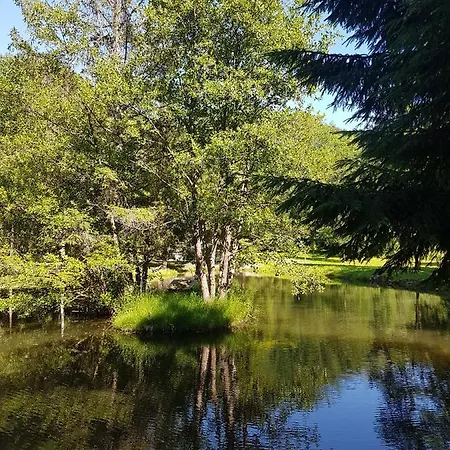 Insolite De Peche Serenite - Bien Etre *