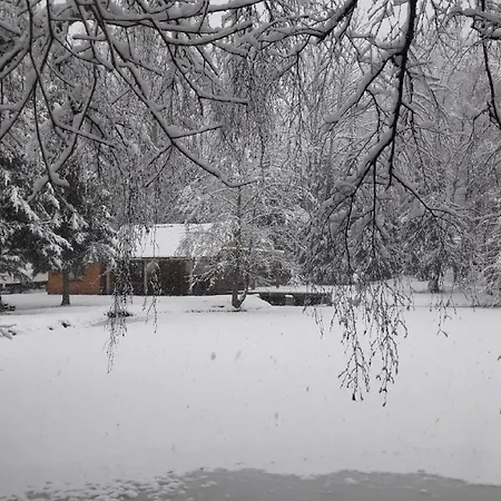 Insolite De Peche Serenite - Bien Etre Chalet Ban-sur-Meurthe-Clefcy