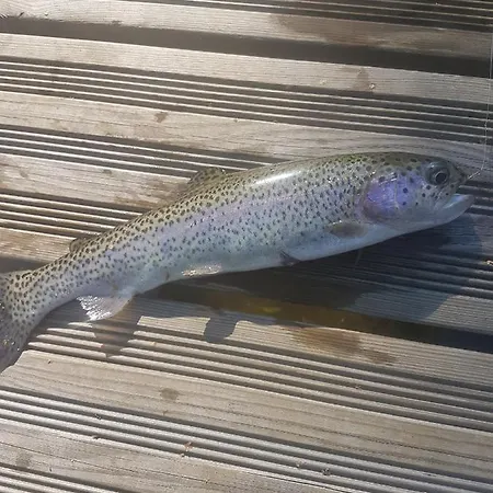 Insolite De Pêche Sérénité - Bien Etre * Ban-sur-Meurthe-Clefcy