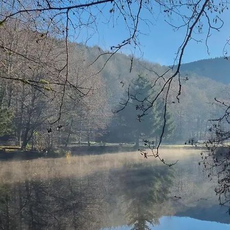 Insolite De Pêche Sérénité - Bien Etre * Ban-sur-Meurthe-Clefcy