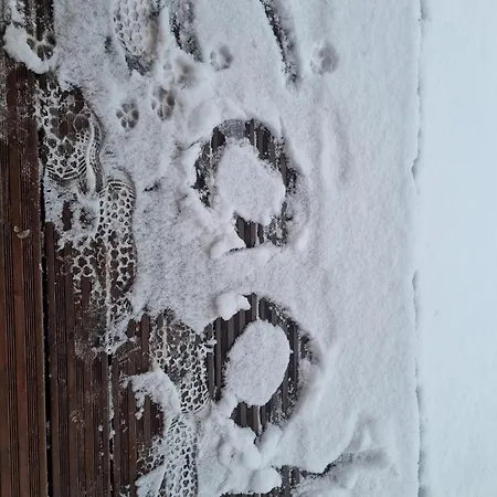 Insolite De Peche Serenite - Bien Etre *
