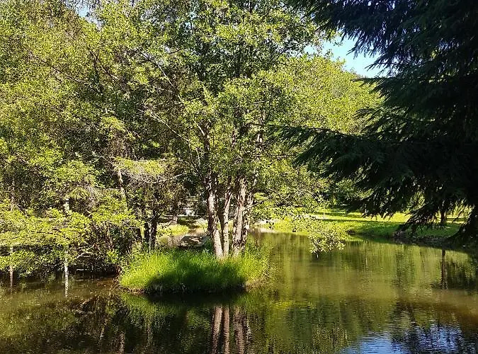 Insolite De Peche Serenite - Bien Etre *