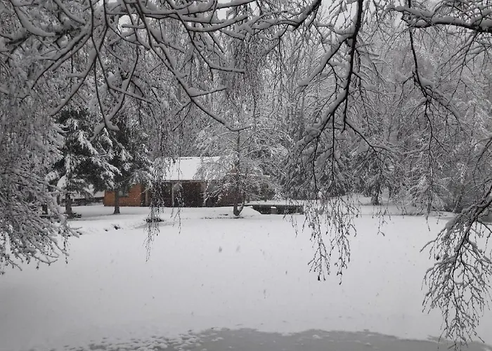 Insolite De Peche Serenite - Bien Etre Chalet Ban-sur-Meurthe-Clefcy