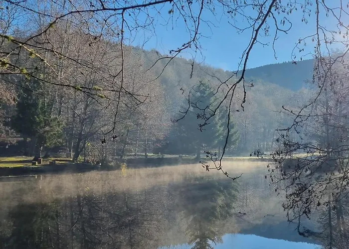Insolite De Peche Serenite - Bien Etre * Ban-sur-Meurthe-Clefcy