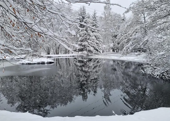 Insolite De Peche Serenite - Bien Etre Chalet